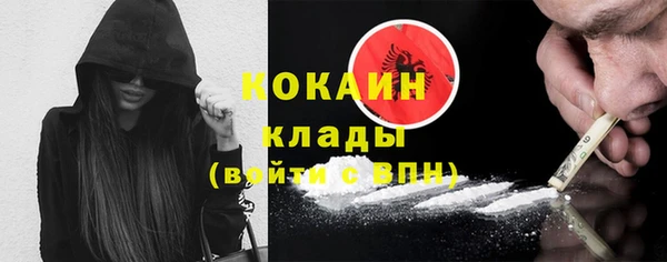 индика Алзамай