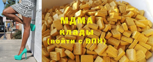 индика Алзамай