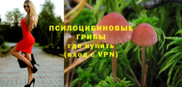 индика Алзамай