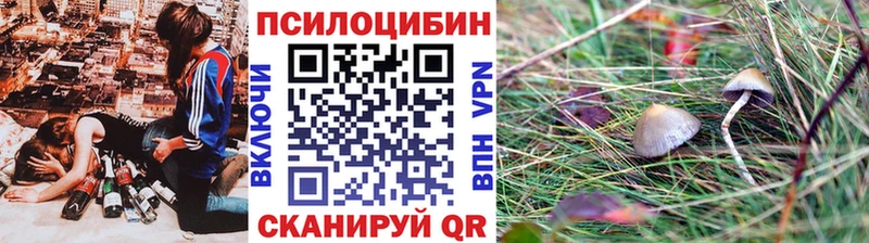 цены наркотик  Урай  Галлюциногенные грибы прущие грибы 